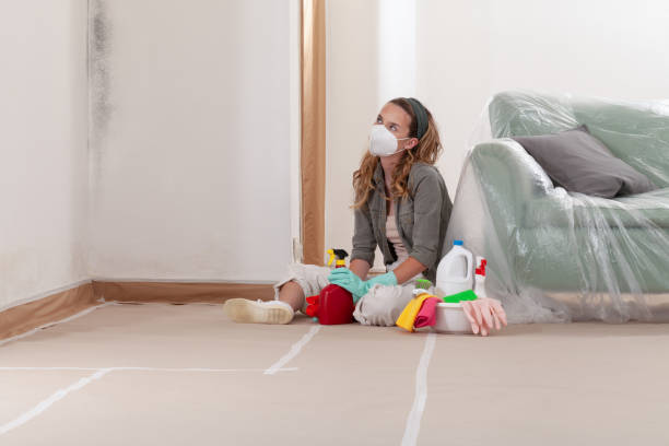 Reliable Mold Remediation contractor in Caldwell, NJ by 24 Hour Mold Removal